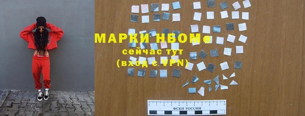 прущие грибы Зеленокумск