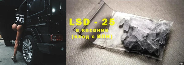 прущие грибы Зеленокумск