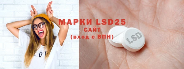 прущие грибы Зеленокумск