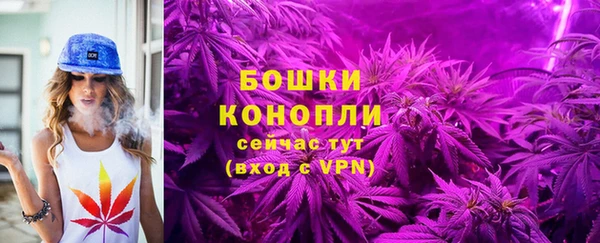 прущие грибы Зеленокумск