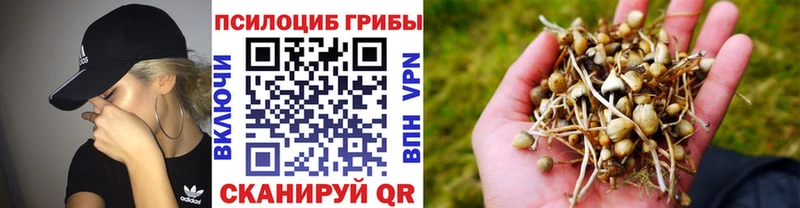 Псилоцибиновые грибы Psilocybe  Волгоград 