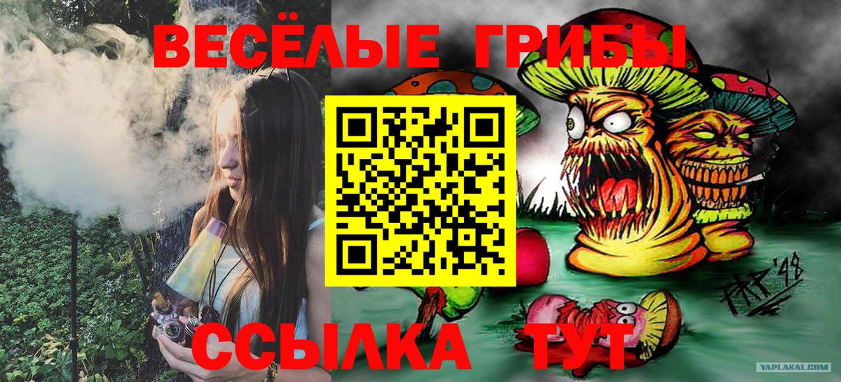 Псилоцибиновые грибы Cubensis Волгоград