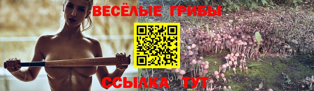 Галлюциногенные грибы Cubensis Волгоград