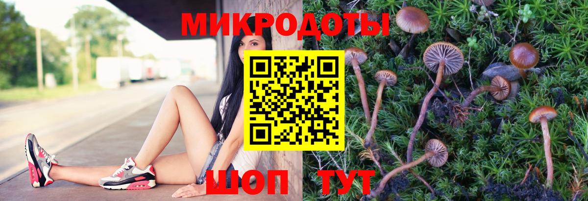 Псилоцибиновые грибы Psilocybine cubensis  Вход с VPN  Волгоград 